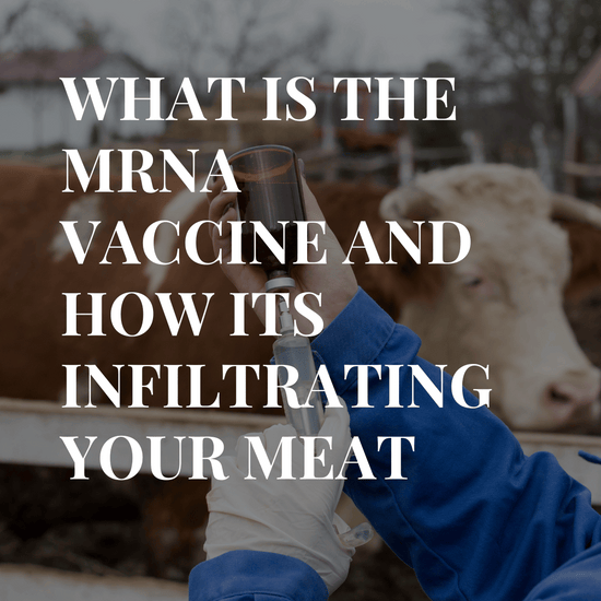 Is The Covid mRNA Vaccine Being Put In Your Meat?