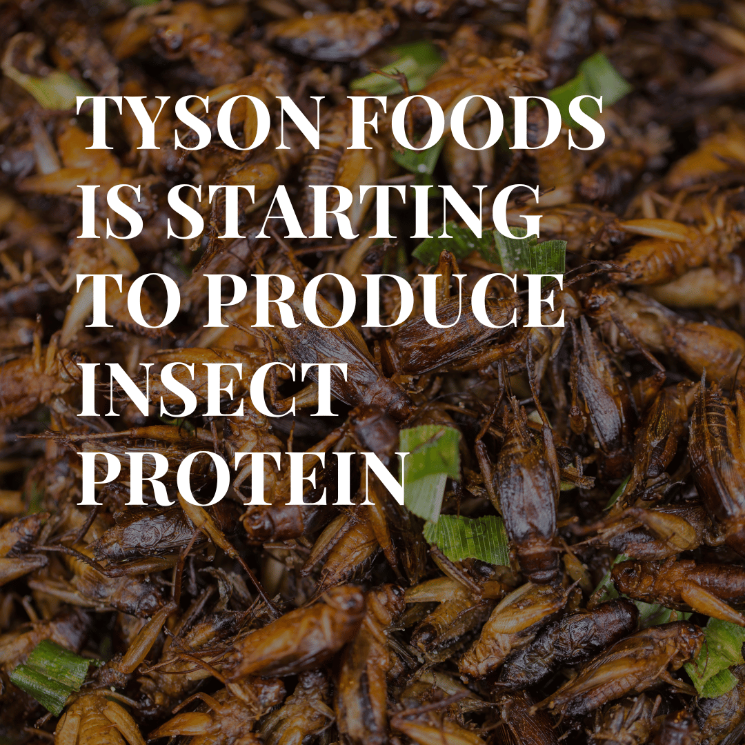 Tyson Foods Invests In Bug Food Company
