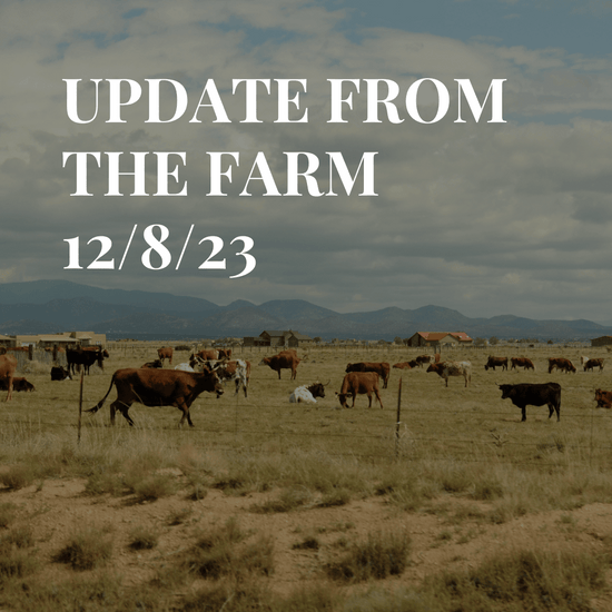 Vegan Restaurants Forced To Add Meat To The Menu + How To Not Loose Any Meat Juice When Grilling