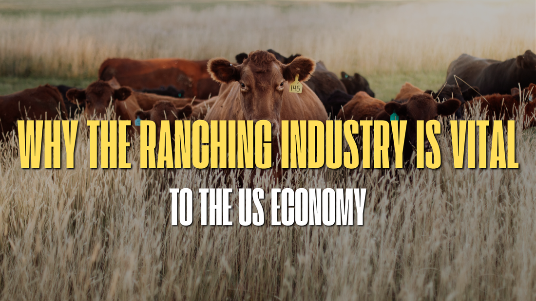 Why the Ranching Industry Is Vital to the U.S. Economy