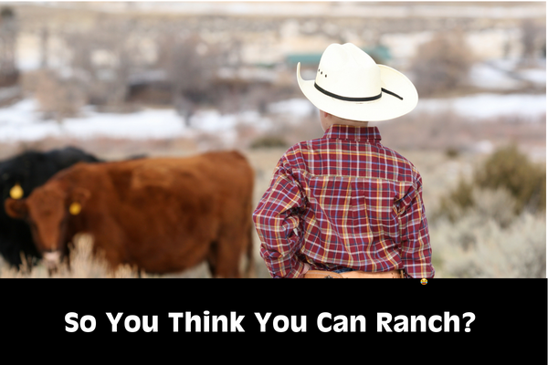 So You Think You Can Ranch? (Written like a true rancher via AI)