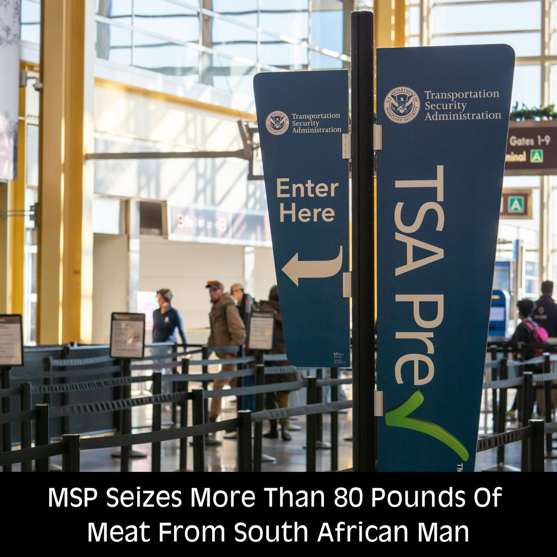 Man Caught With 80 lbs Of Meat At MSP Airport - TSA Destroys