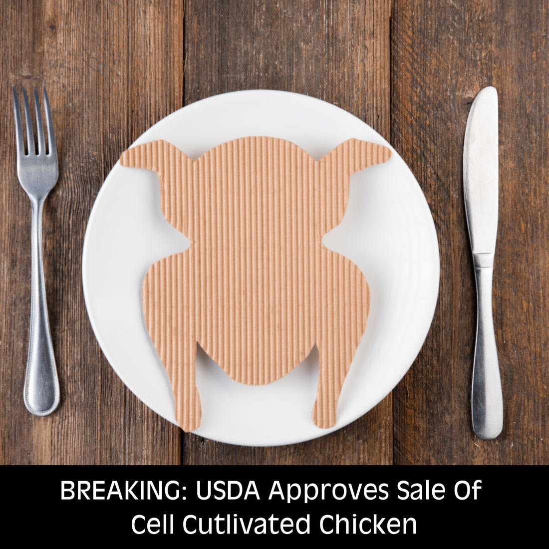 U.S Approves Sale Of Cell Cultivated Chicken