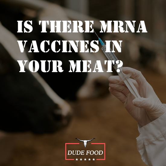 Are Cattle Being Injected With The mRNA Vaccine? Here's Everything You Need To Know | Dude Food