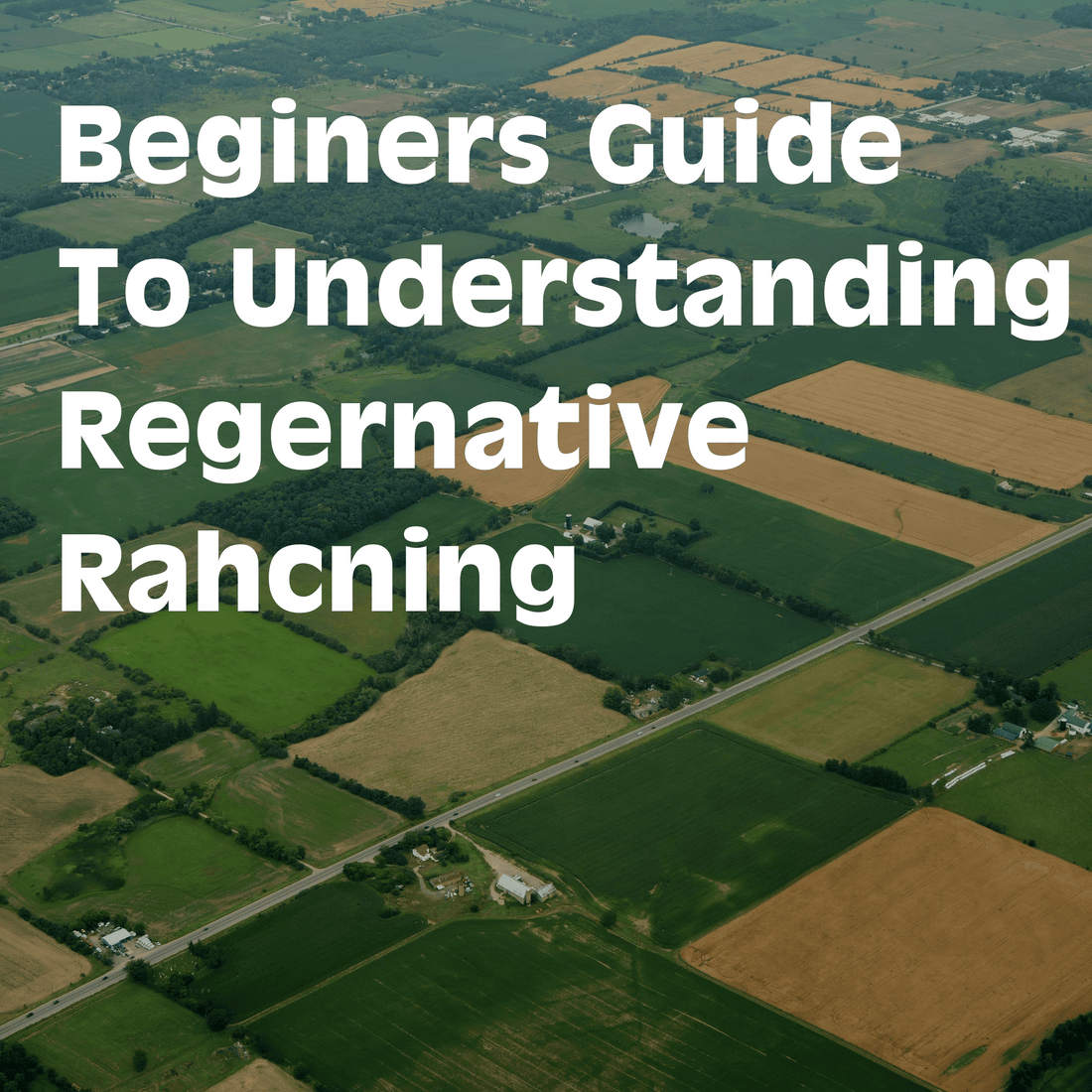 Regenerative Ranching & How It Affects Your Meat