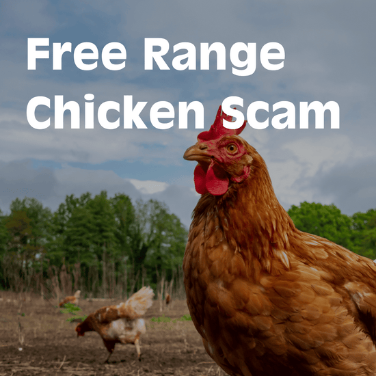 The Free Range Chicken Scam: Why Your Paying More For A Label