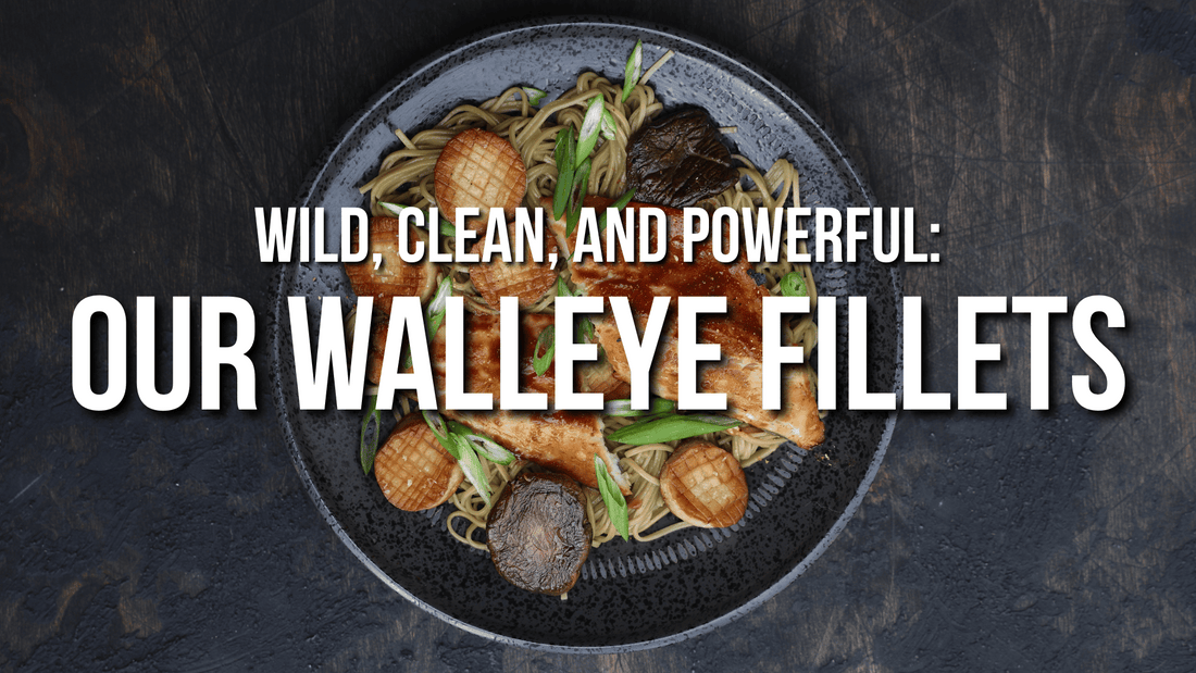 Wild, Clean, and Powerful: Our Walleye Fillets