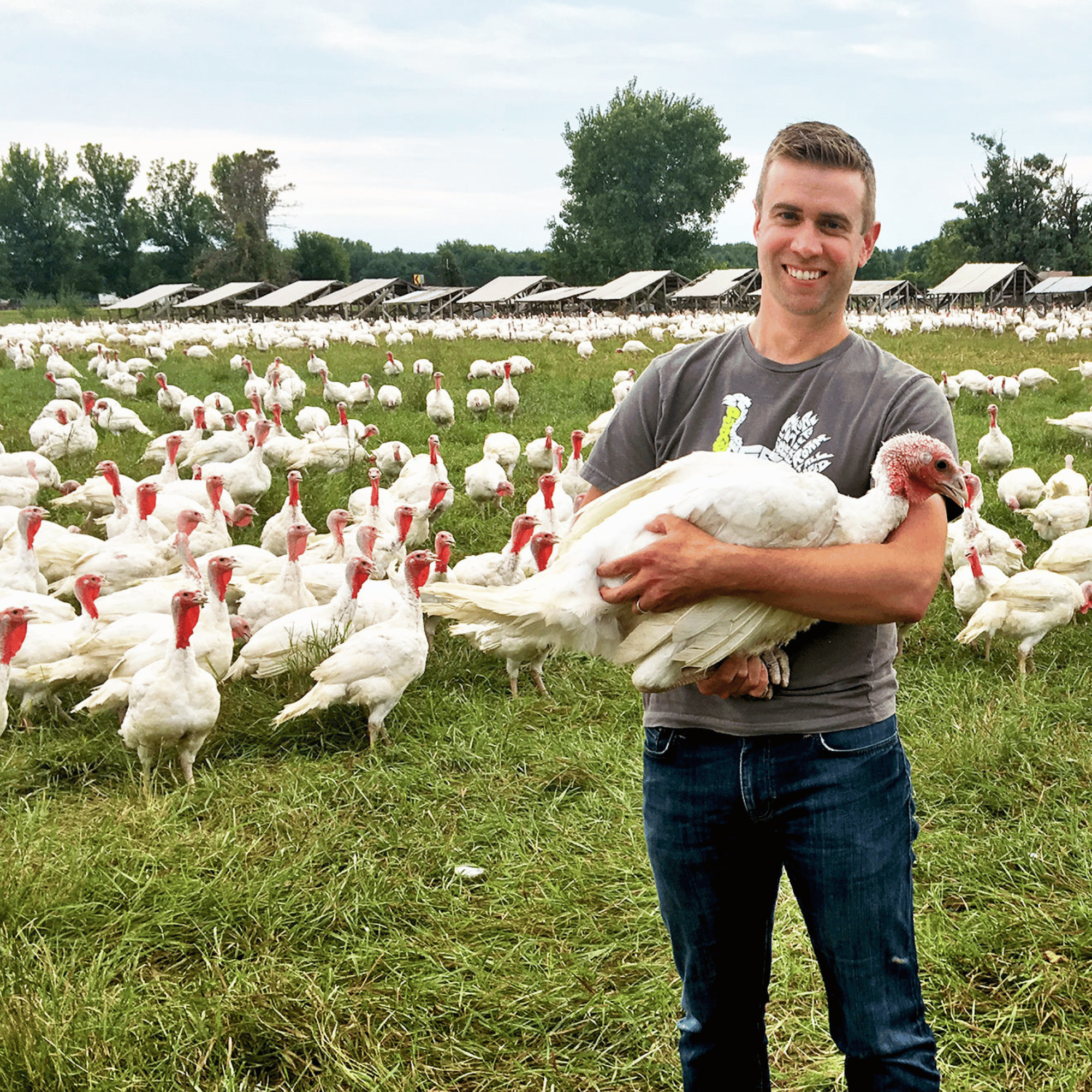 Pasture Raised Whole Turkey