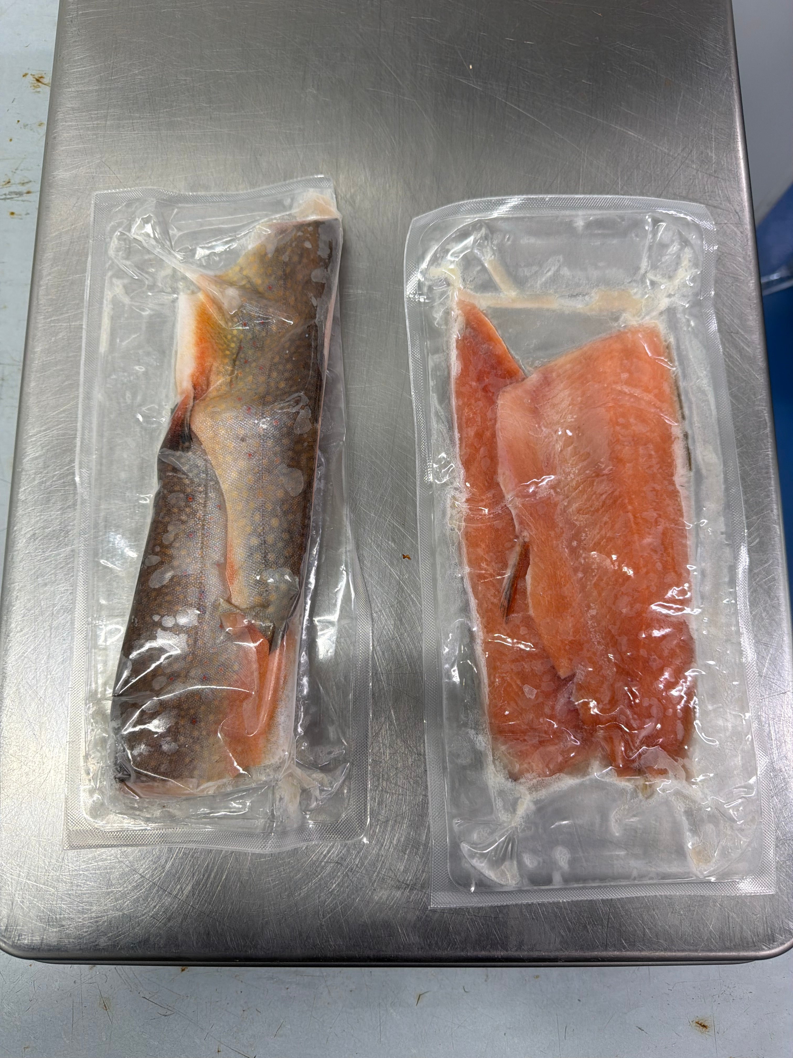 Brook Trout - Fillets - VacPack - 5 lbs