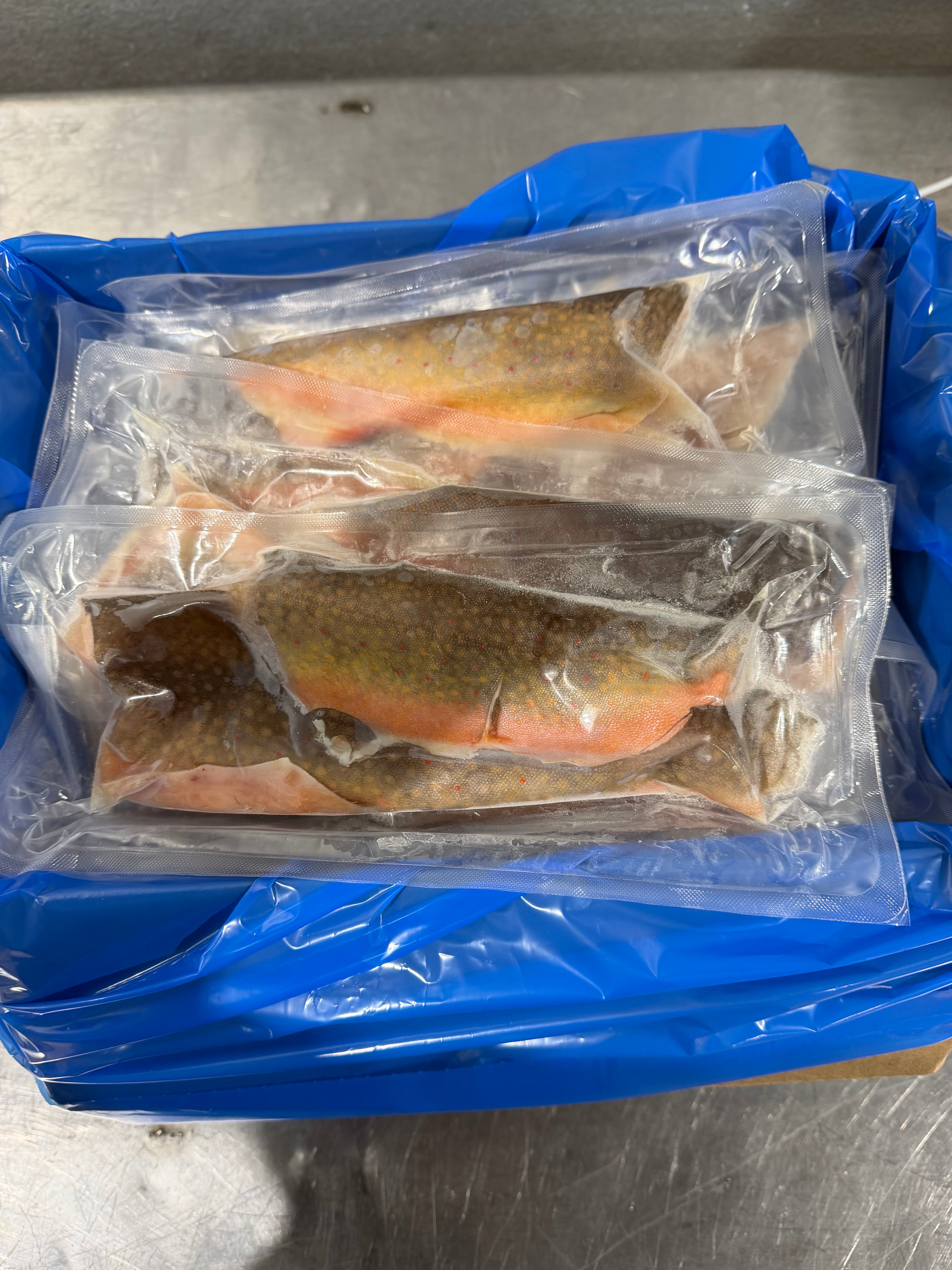 Brook Trout - Fillets - VacPack - 5 lbs