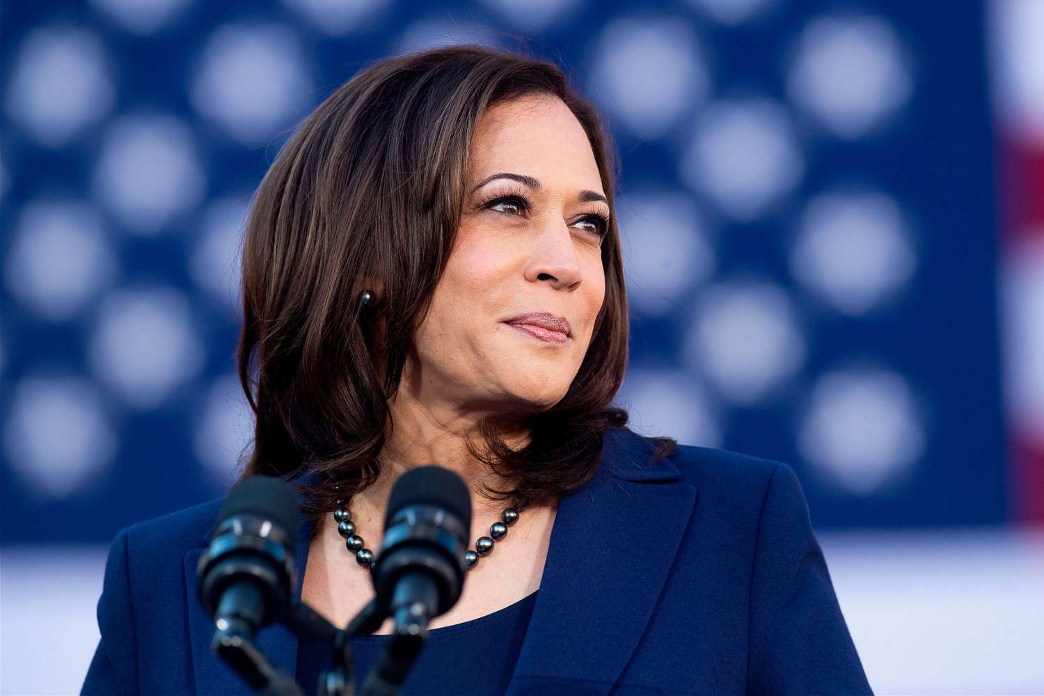 KAMALA HARRIS 
KAMALA FOR PRESIDENT
KAMALA FOR PRESIDENT FARMING
WHAT HAPPENS TO AGRICULTURE WHEN KAMALA WINS