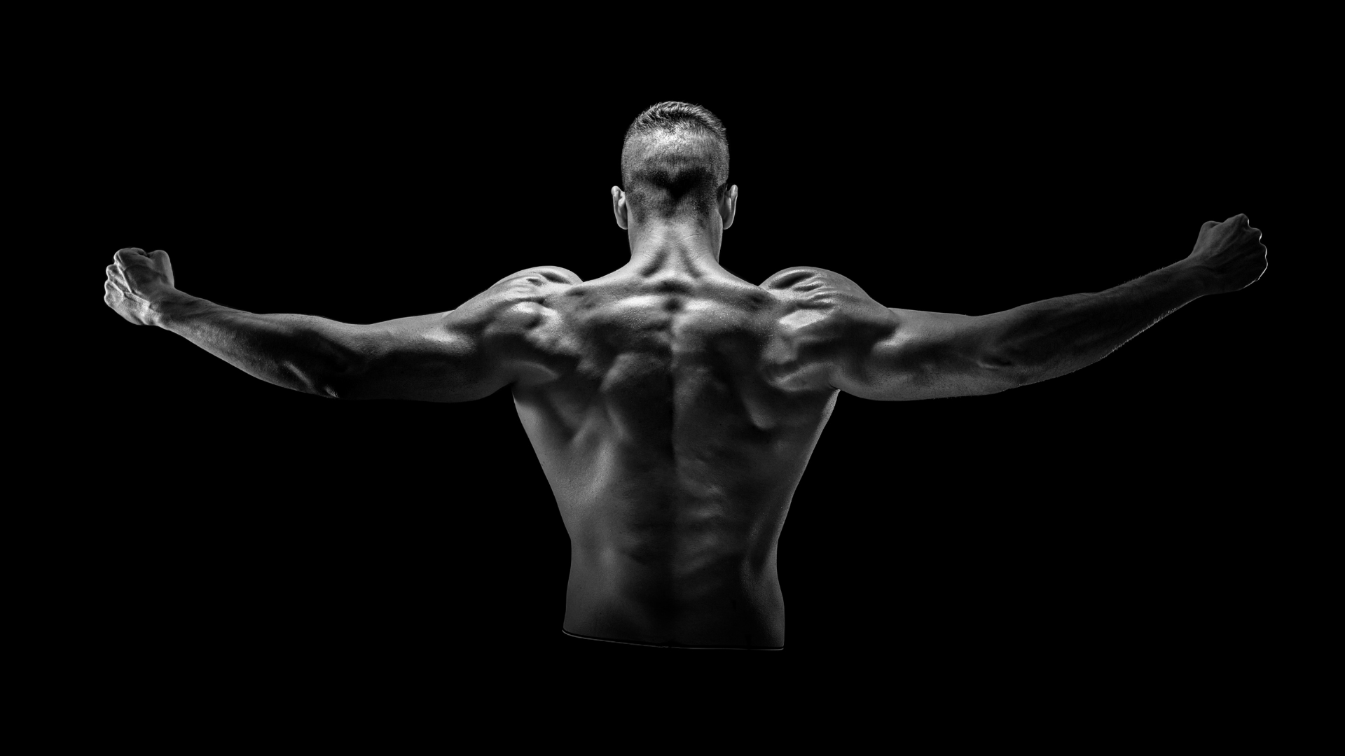 Dude Food Carnivore Diet